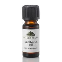 Urtegaarden Eucalyptusolie - 10 ml