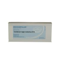 Allergica Cerebrum regio motorica D12 - 10 x 1 ml