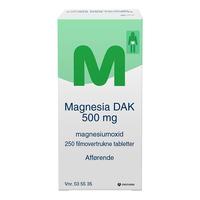 Magnesia 500mg - 250 stk