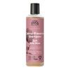 Urtekram Soft Wild Rose Colour Preserve Shampoo - 250 ml.