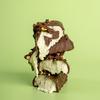 Wispy Protein Bar Dark Choco Pistachio - 55 g.